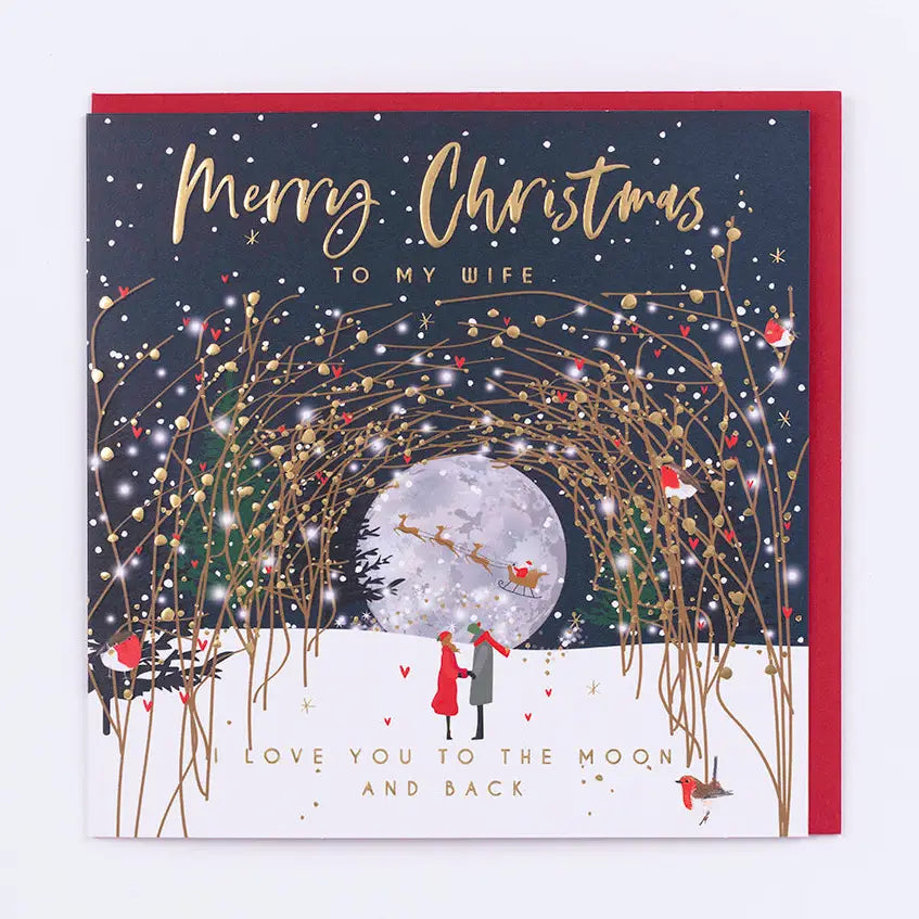 To my Wife Love you to the Moon & Back