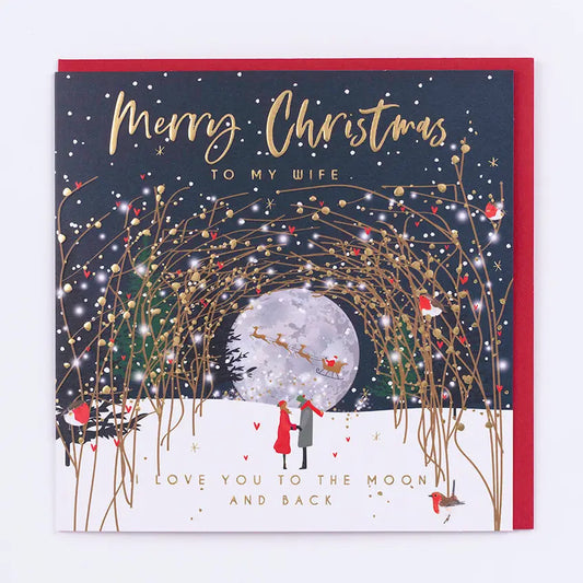 To my Wife Love you to the Moon & Back